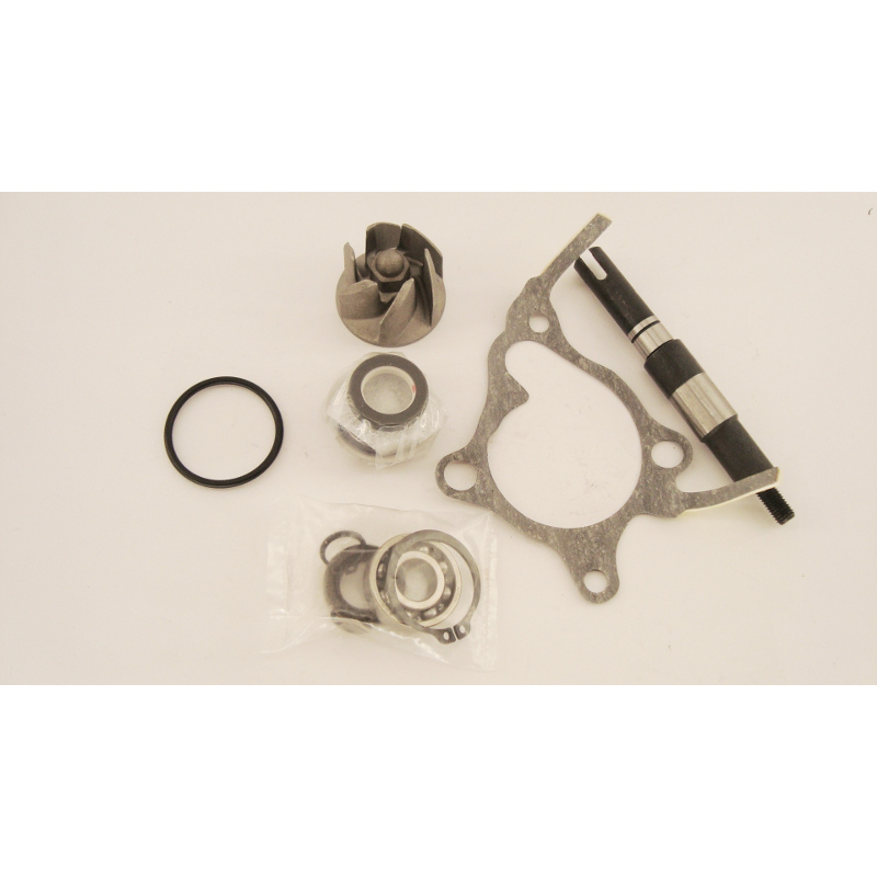 Kit pompa acqua HONDA FORESIGHT 250 Kit revisione acqua