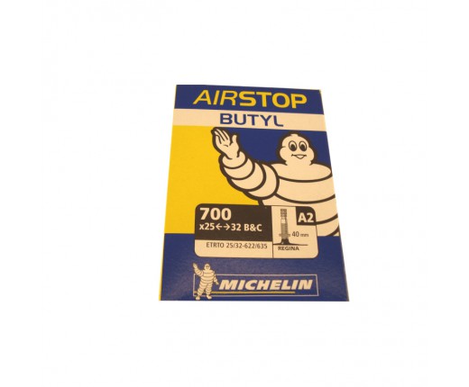 Camera d'aria Michelin A2 25-32 622-635