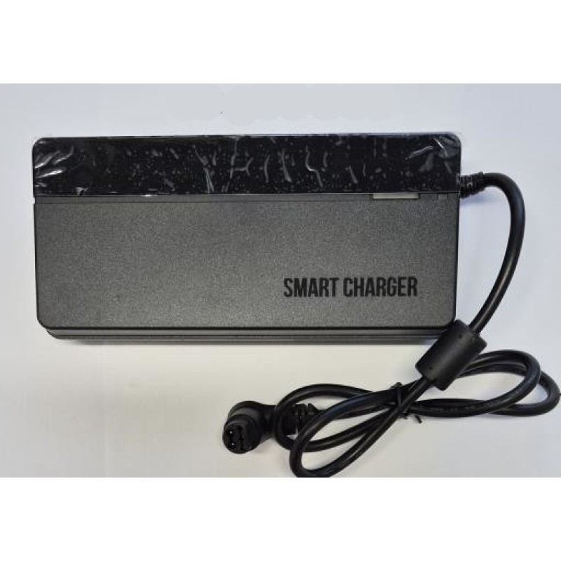 Caricabatter Giant Smart Charger 4A 5pin