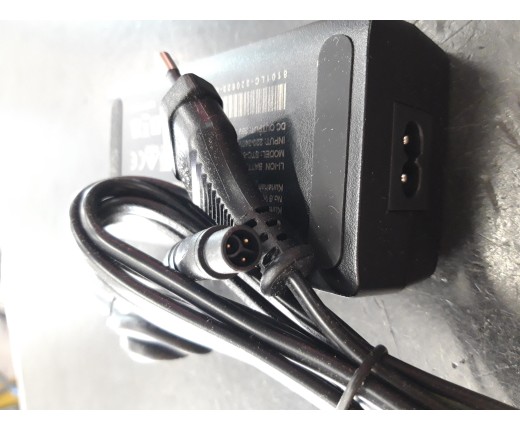 Caricabatteria 36V Olympia Magnum