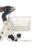 CESTI NEFELE COLORATI