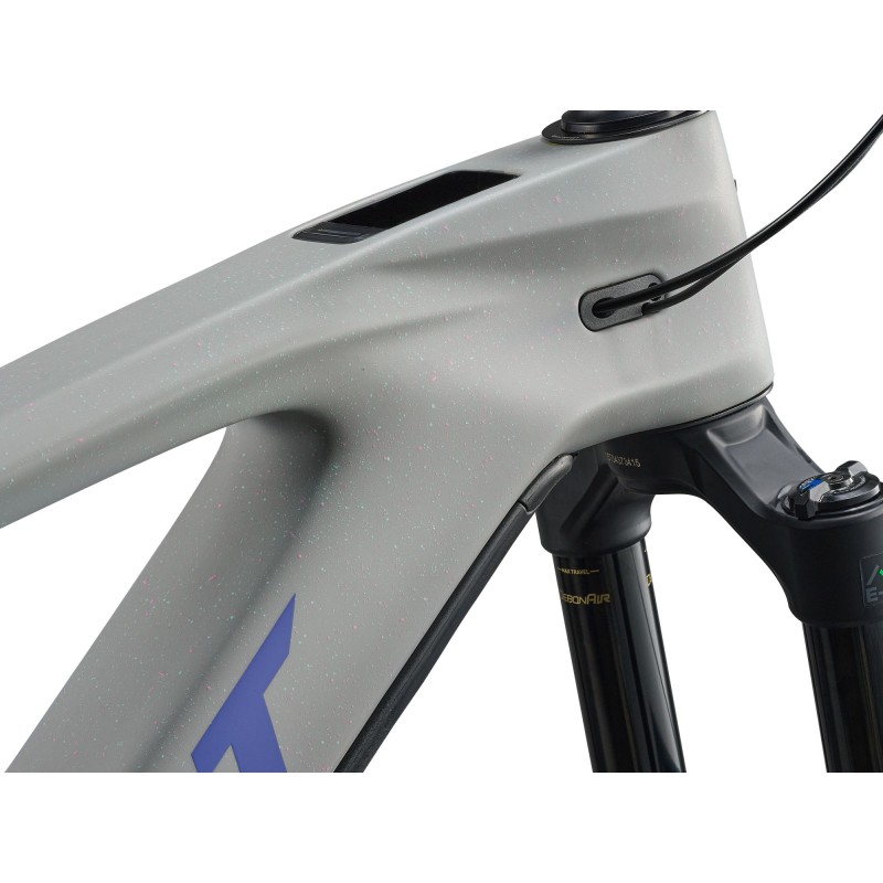 E-Bike Giant Reign Advanced E+2 MY2026