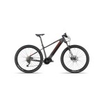 E-bike mtb front Olympia Master 630 29