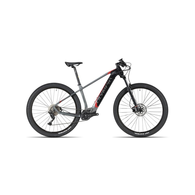 Ebike Olympia Performer 900wh Oli 29"