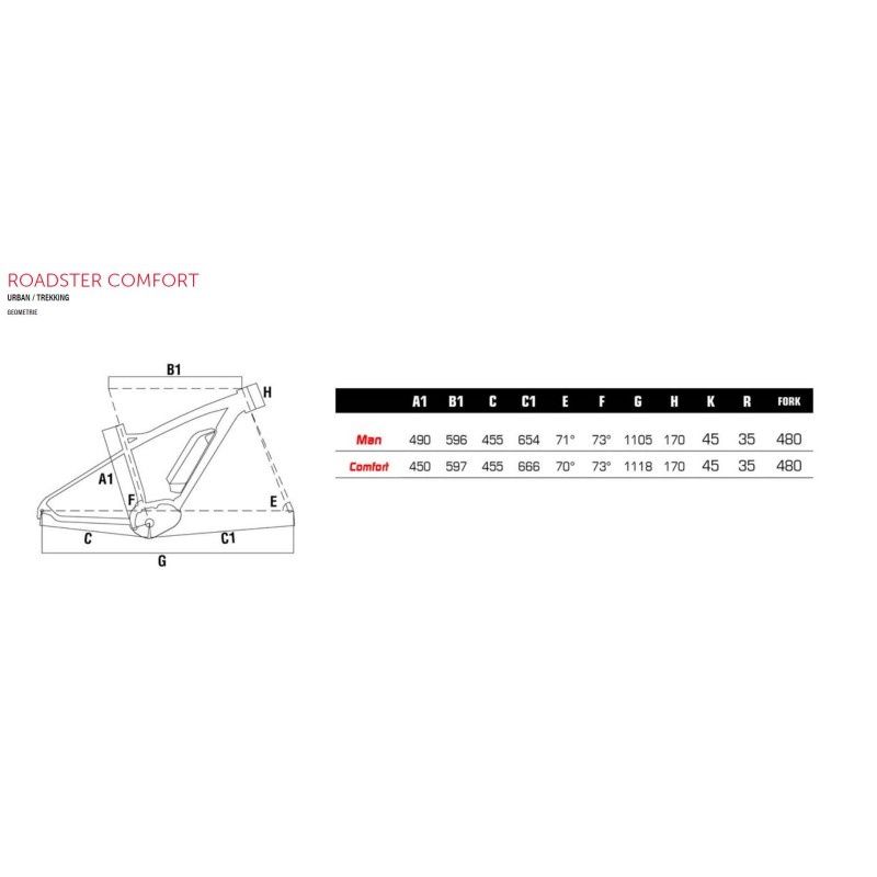 Ebike Olympia Roadster donna col 25