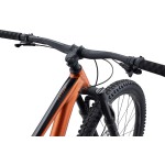 Giant mtb front Fathom 29 1 amber glow