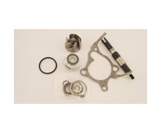 Kit pompa acqua HONDA FORESIGHT 250