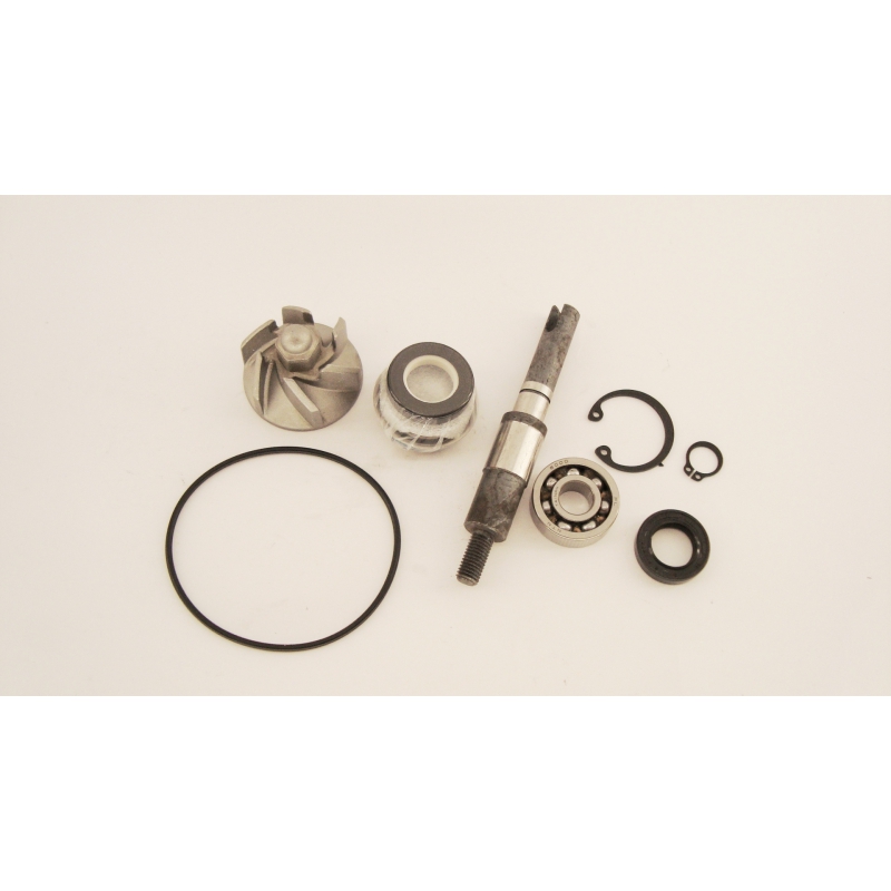 KIT REV. P.ACQUA HONDA SH125-150