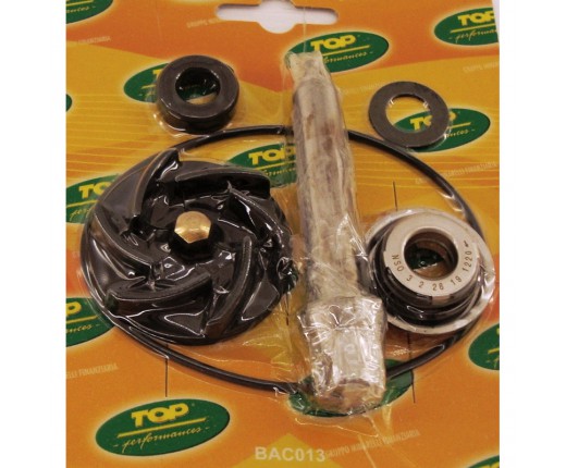 Kit revisione pompa acqua Piaggio 500