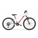 MTB BIMBO MBM DISTRICT 24 NEW