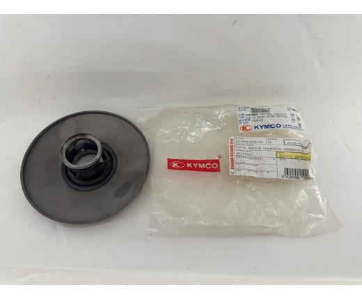 Parte mobile puleggia condotta 127973