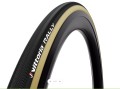 Tubolare Vittoria Rally 21-28" nero para