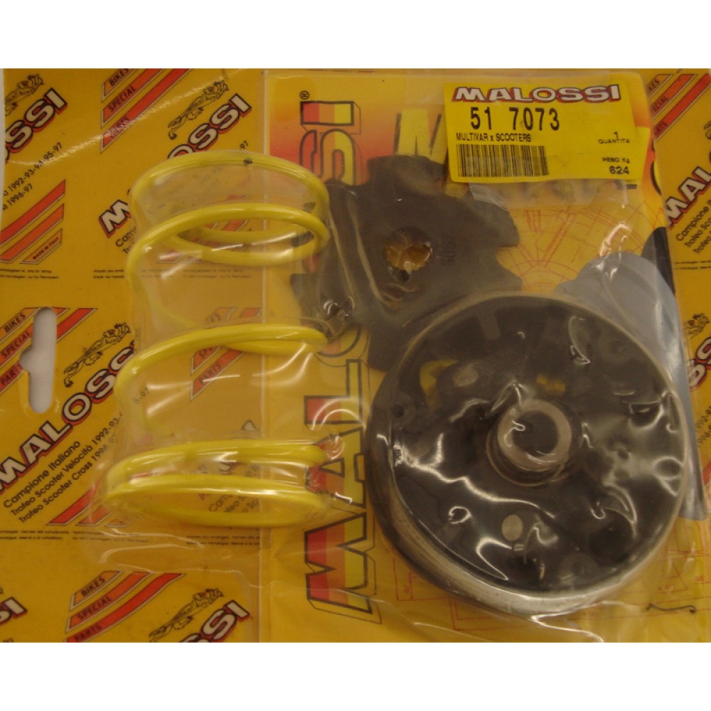 Variatore Malossi Peugeot Rapido 50