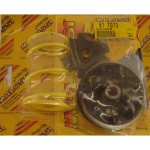 Variatore Malossi Peugeot Rapido 50