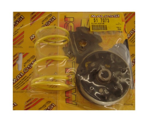 Variatore Malossi Peugeot Rapido 50